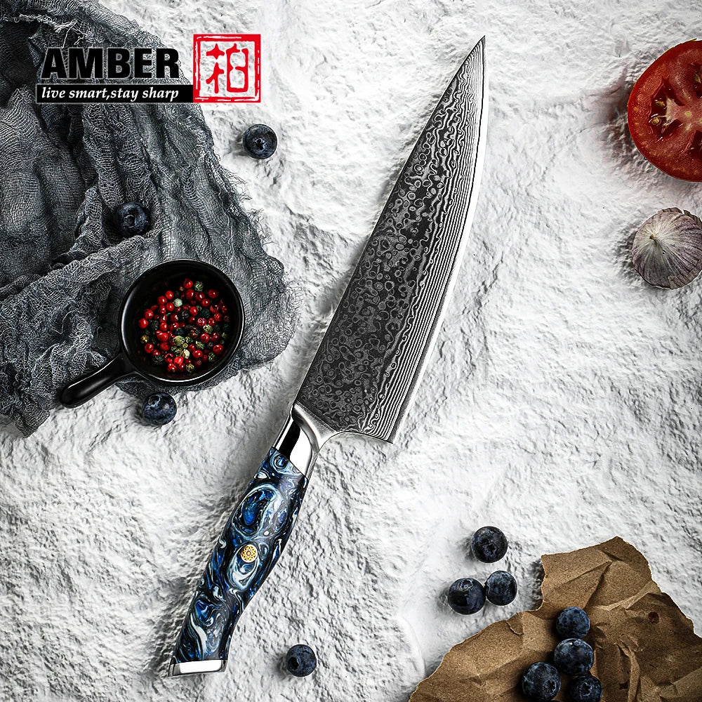 Amber 8 Inch Sharp Damascus Steel Chef Knife Guarantee Kitchen VG10 Damascus Knife Giftbox with Blue Resin Handle