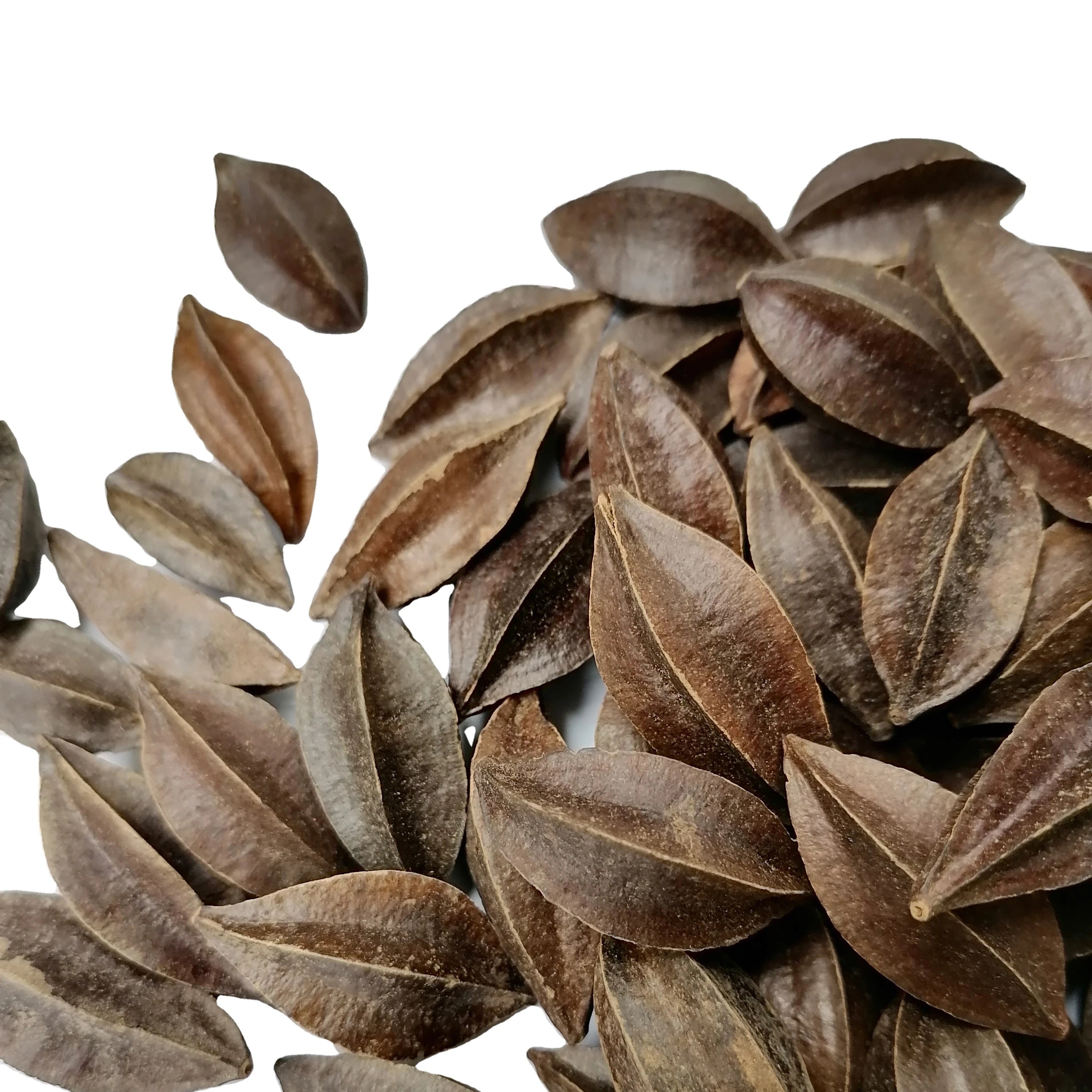 Shi Jun Zi Natural Wholesale Raw FRUCTUS QUISQUALIS for Sale