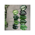Competitive Price Good Quality Wall Decorative  Single-Conjoined Leaf Artificial Plant