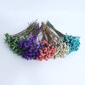 2026 New Dried Flowers White Fruits Preserved Berries Environment Friendly Natural Touch for Home Mother's Day Christmas