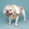 2023 New Arrivals Cute Winter Warm Fleece Flower French Bulldog Clothes French Bulldog Dog Coat with Rabbit Headgear Hat