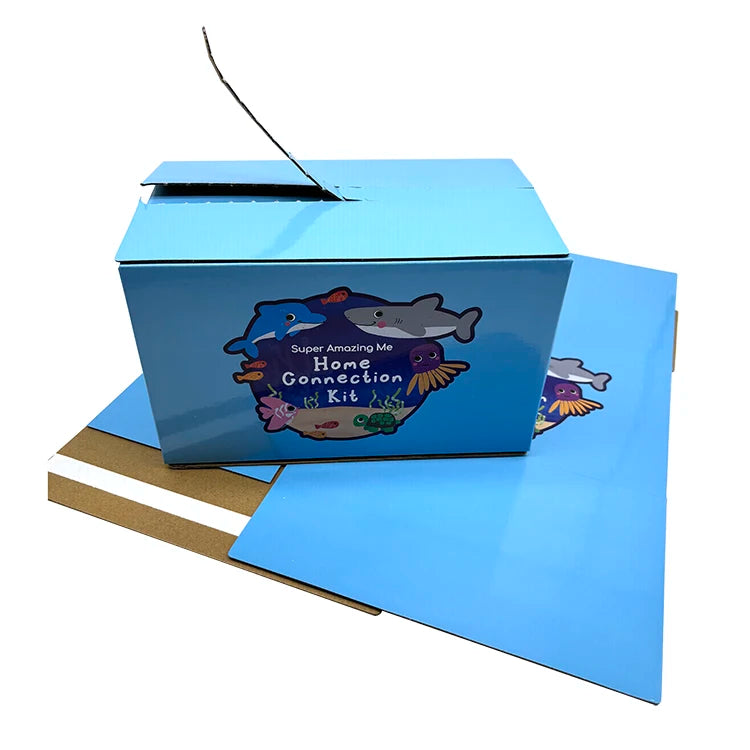 Custom Printed Blue Easy to Tear Colored Cartons Recycled Package Paper Shipping Box
