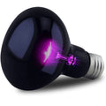 Reptile Terrarium Heat Bulb Night Reptile Bulbs for Snake Turtle Bearded Dragon