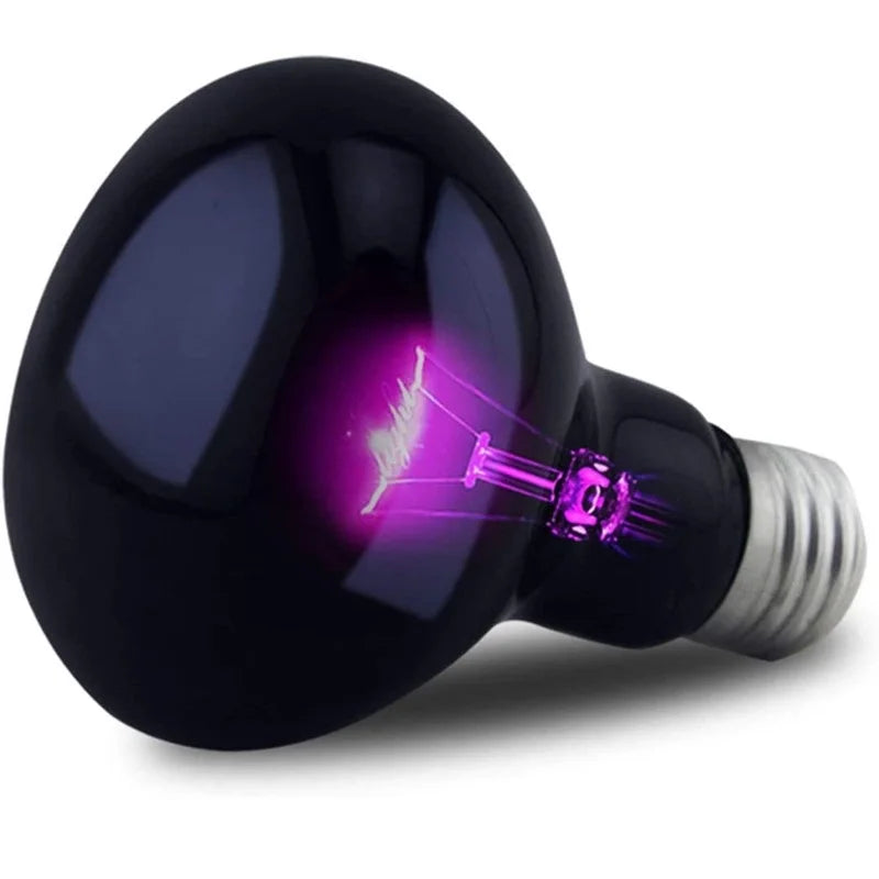 Reptile Terrarium Heat Bulb Night Reptile Bulbs for Snake Turtle Bearded Dragon