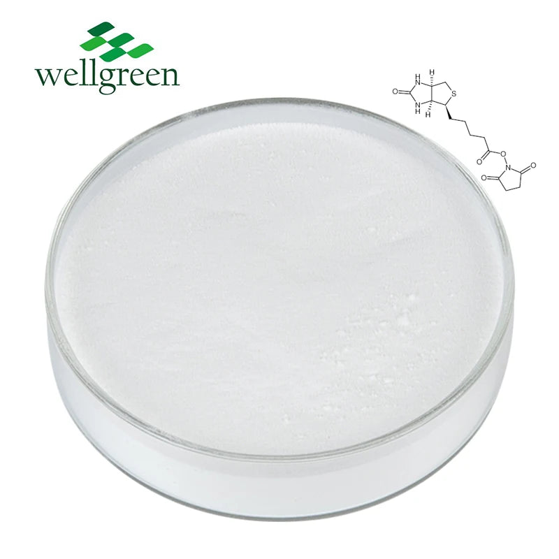 Pure Biotin Vitamin B7 CAS 58-85-5 Bulk Vitamin H 99% D-Biotin Powder for Hair Growth