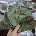 Dried Soursop Graviola Tea Natural Herbal Flavor Wholesale Sour Sop Leaf Tea