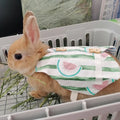 Wholesale Stocked Rabbit Hat Pet Rabbit Supplies Clothes