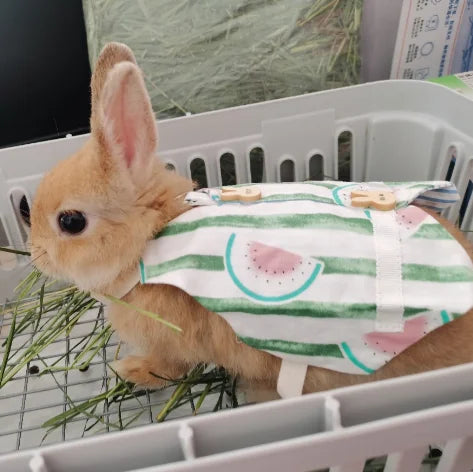 Wholesale Stocked Rabbit Hat Pet Rabbit Supplies Clothes