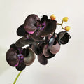 Y-H085 New Arrival Latex Artificial Orchids 6 Head Arrangement Artificial White Grey Black Orchid Flowers