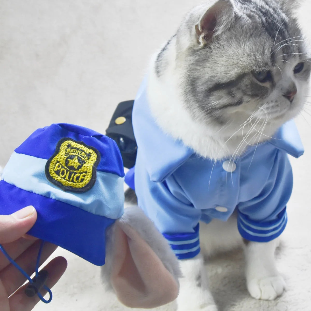 Crazy Animal City Series Pet Transformation Clothes Cotton Cat Dog Apparel Judy Hat Cos for Girls New Year's Day Summer Season