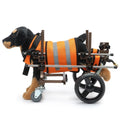 USMILEPET Utility Patent Adjustable 4 Wheels Sturdy and Durable Rear Leg Paralyzed Pet Wheelchair with Handle for Pet Shops