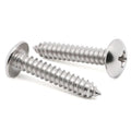 M3 M3.5 M4 M4.2 M4.8 M5 M6 304 Stainless Steel A2 Sheet Metal Phillips Truss Head Wood Self Tapping Screws
