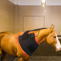 OEM ODM  Heating Pad  LEDs Infrared Light Therapy Mat 660nm 850nm Red Light Therapy Blanket Horse