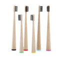 Custom Biodegradable Conical Shape Nylon Bristle Toothbrush Soft Charcoal Infused Bristle for Home Use