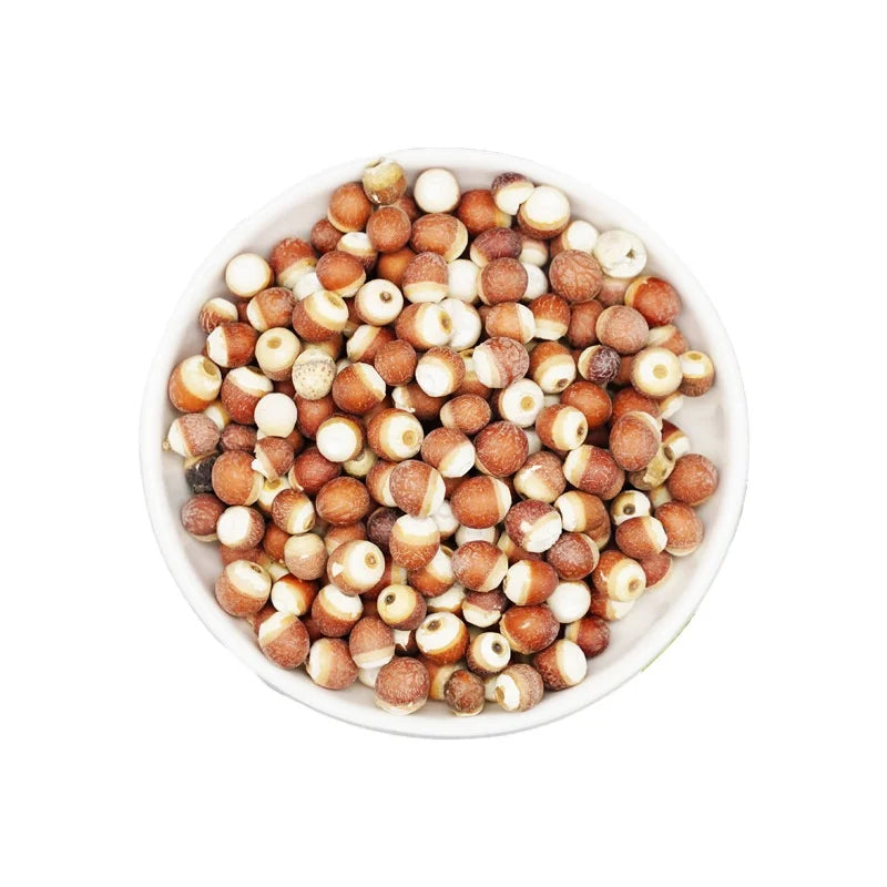 Bulk Raw Prickly Waterlily Semen Foxnut SEMEN EURYALES for Food