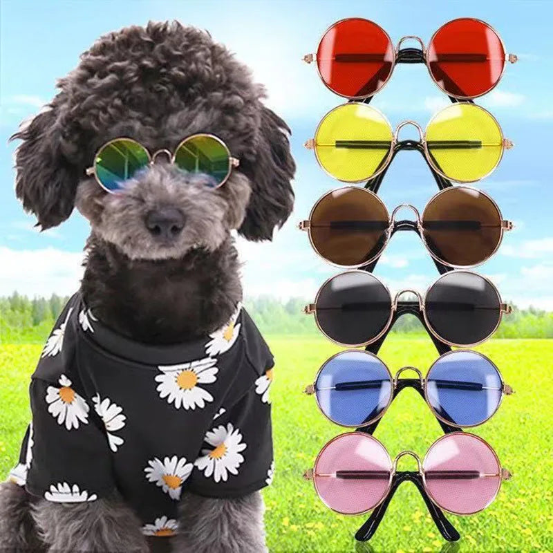 Fashion Wind and Uv Protection Dog Cat Sunglasses Pet Accessories
