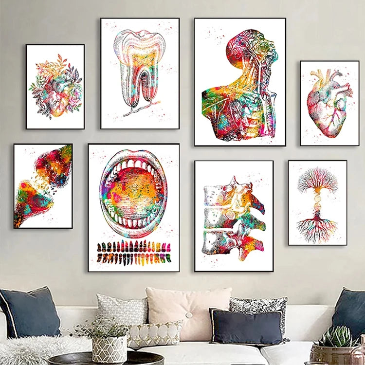 Medical Education Office Picture Posters Canvas Painting Human Anatomy Muscle System Art Print Watercolor Human Figure Painting