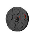 Ever Bright Custom Logo Smart Bluetooth Boxing Machine Music-Enabled Fitness Home Trainer for Children