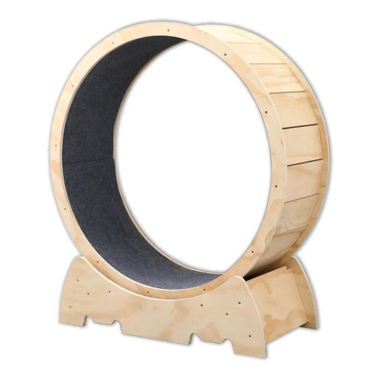 Cat Treadmill Safety Lock Stable Load-bearing Circular Cycle Silent Runway Cat Exercise Wheel