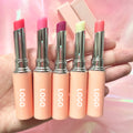 Wholesale Bulk Private Label Herbal 5g Soft Skin Friendly Moisturizing Chapstick Custom Logo Fruit Flavour Tinted Lip Balm