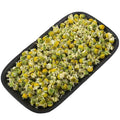 Xanadu Best Seller Herb of the Sun Bulk Loose Full Dried Chamomile  Tea Natural Flowers in Tea Bags