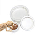 10cm Round White Ceramic Reptile Food & Water Bowl Anti-Escape Eco-Friendly Worm Dish