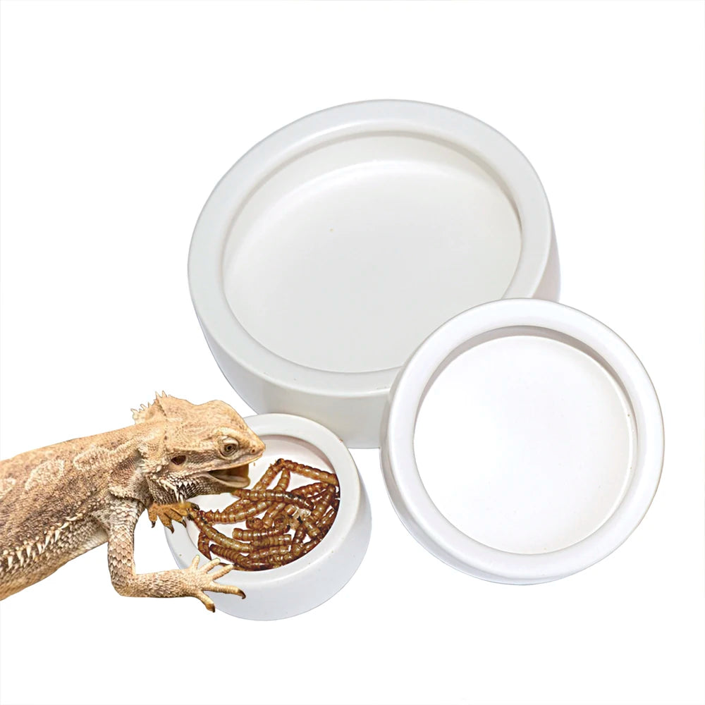 10cm Round White Ceramic Reptile Food & Water Bowl Anti-Escape Eco-Friendly Worm Dish