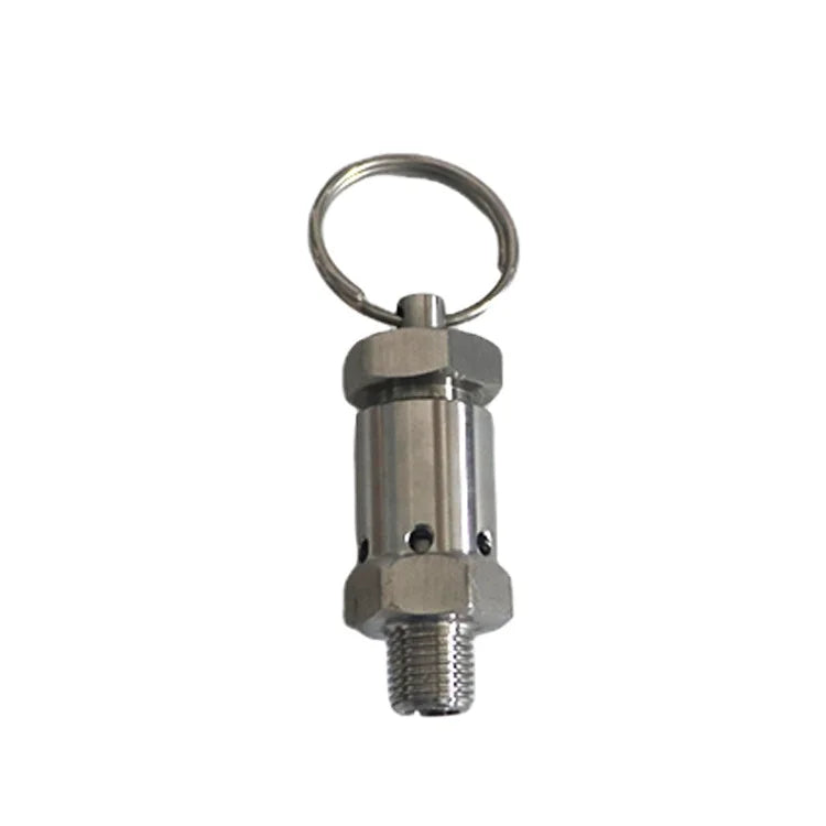 Stainless Steel NPT Mini Type Pressure Relief Valve Spring Gas  Safety Valve Automatic Pressure Relief Valve 1/4"