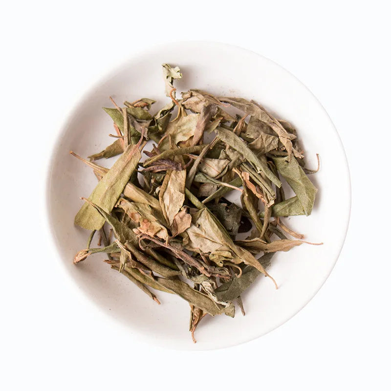 Dong Bei Man Shan Hong Wholesale Rhododendron Leaf Dried Rhododendron Dauricum Leaves for Sale