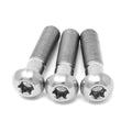 Torx Round Head Screws with a Low-Key Decorative Appearance and Good Fastening