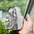 Wholesale Natural Hand Carved Crystal Mermaid clear Quartz Clusters Crystal Mermaid for Decoration