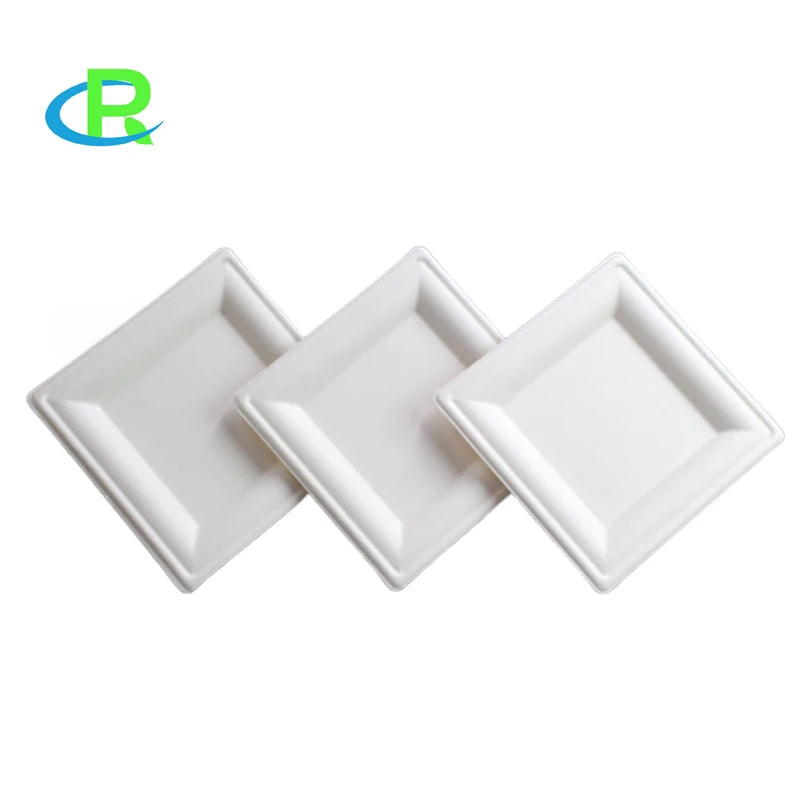 100% Compostable Sugarcane Plates Eco-Friendly Disposable Sugarcane Bagasse Disposable Paper 9 inch 10 inch Plates