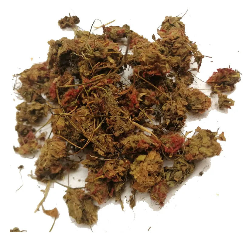 Jin Di Luo Tropical Sundew China Drosera Burmanni Dried Plants for Herb