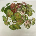 Wholesale Artificial Begonias Flower for Wedding Table Scene Landscaping Decoration Flower Arrangement Supplies