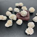 Wholesale Natural Healing Crystal Minerales Stones Desert Rose Stone