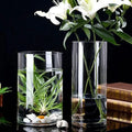 Latest Fashion Minimalist 10cm High Tall Cylinder clear Glass Vases
