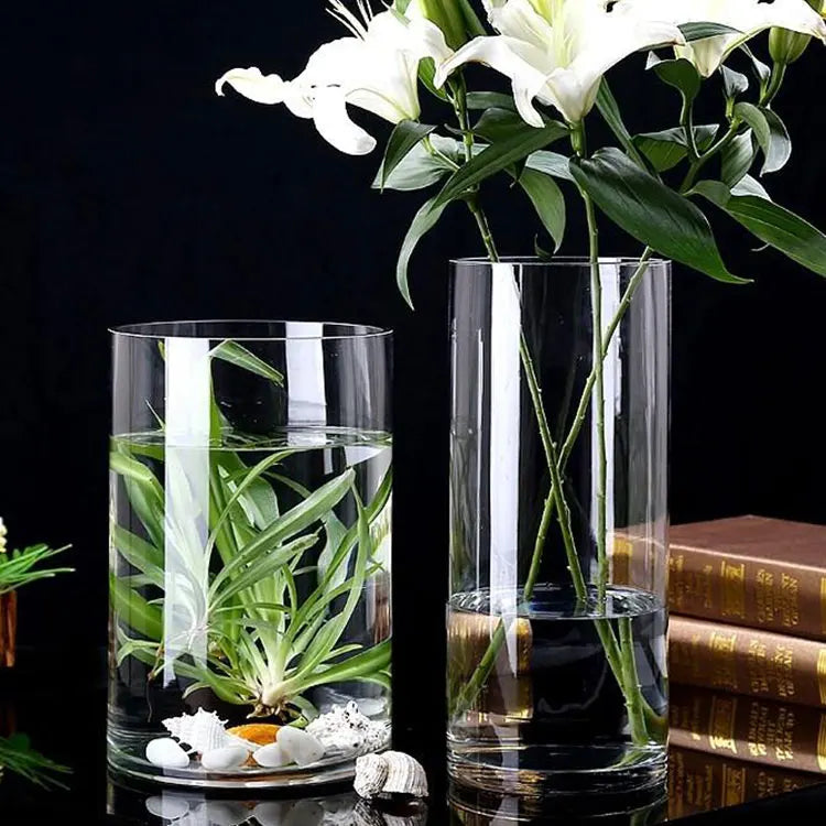 Latest Fashion Minimalist 10cm High Tall Cylinder clear Glass Vases