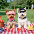 Pet Clothes and Accessories Fashionable Dog Cat Hat New Spring Summer Dogs Teddy Bear Sun Shade Hat Ear Cap for Outside Travel