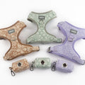 OEM Luxury Winter Dog Harness Set Customized Fashion Pet Harness with Leash for Dog Walking Wholesale Option Available