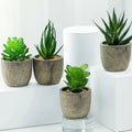 Plants Succulents Arrangement Assorted Bulk Single Vertical Garden Face PVC/PE Material Real Touch Artificial Succulent Kit