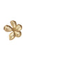 Vintage French Romantic Gold-Plated Zinc Alloy Flower Chandelier Earrings for Women for Parties