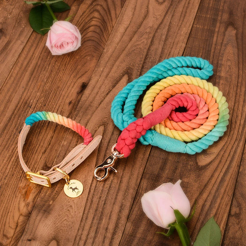 Personalized Custom Logo Tag Leather Dog Collars and Leads Rainbow Design Cotton Braid Hemp Hands-Free Dog Leash