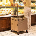Plastic Shopping Trolley Handle Pull Cart With 4 Universal Wheels Hot-selling Popular Pack and Roll Trolly Shopping Cart