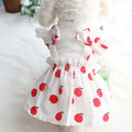 Wholesale Designer Dog Dresses Strawberry