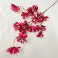 Multicolor-Rose Red Modern Style Artificial Flower Wedding Decoration Penang Leaf