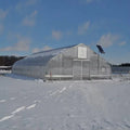 Inexpensive Single Span Plastic Film Hydroponic Greenhouse Suitable for Agricultural Greenhouse Planting