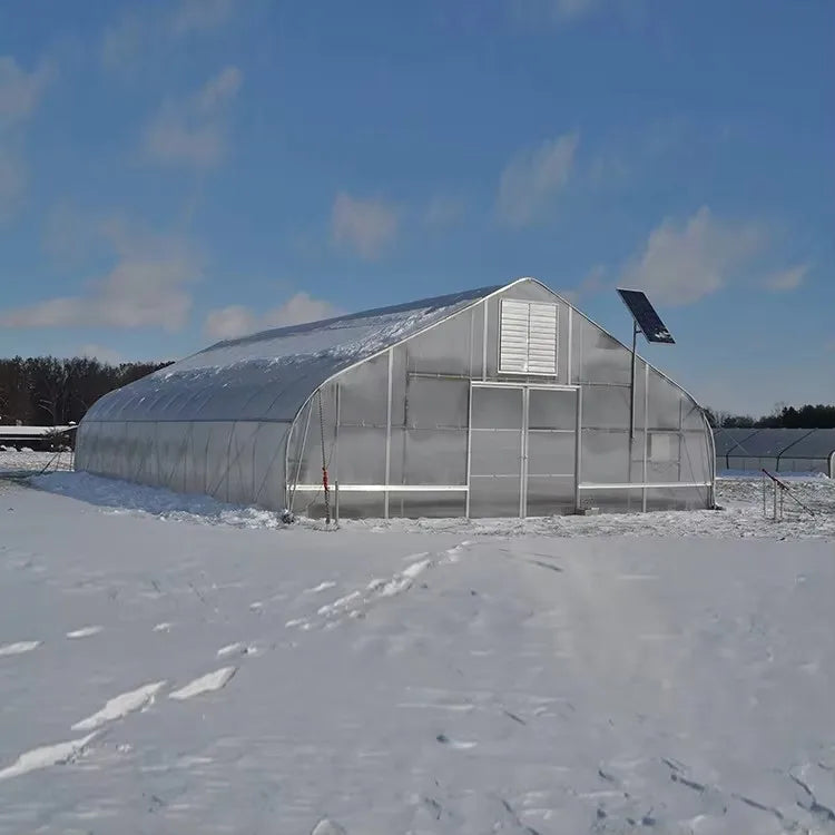 Inexpensive Single Span Plastic Film Hydroponic Greenhouse Suitable for Agricultural Greenhouse Planting