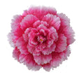 DH876 Chinese Flower Umbrellas Performance Multi-Layer 3D Peony Dance Cloth Manual Control Fiber Umbrella for Party Performance