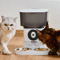 Automatic Pet Feeder 5L Capacity Microchip Cat Feeder Dispenser Food Grade Stainless Steel Bowl With HD Ultra-Wide-Angle Camera