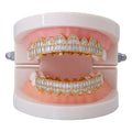 Customized Men Women Iced Out Dentures Teeth Grills Teeth Jewelry 18K Real Gold Plated 4 Micro Set Zirconia Braces